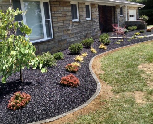 Plantings - thomsonslandscaping.com