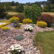 Plantings - Thomsonslandscaping.com