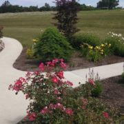 Plantings - Thomsonslandscaping.com